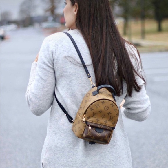 LOUIS VUITTON Reverse Monogram Palm Springs Backpack Mini - Picture 4 of 13